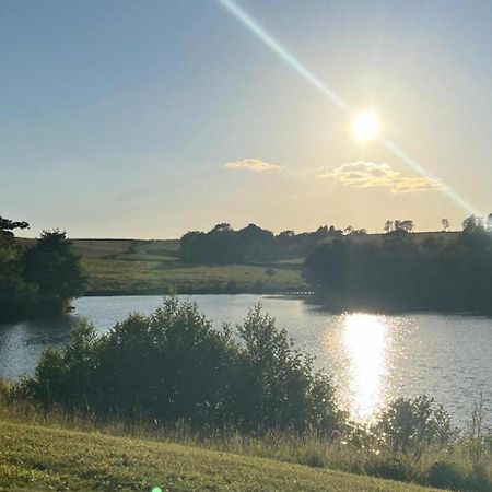 Cuddfan Lodge On A Gorgeous Private Lake Newport  Bagian luar foto